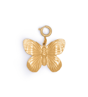 Golden Butterfly Charm, Leveer