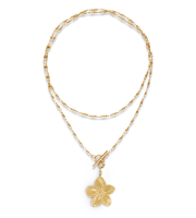 Golden Celine Necklace, Leveer